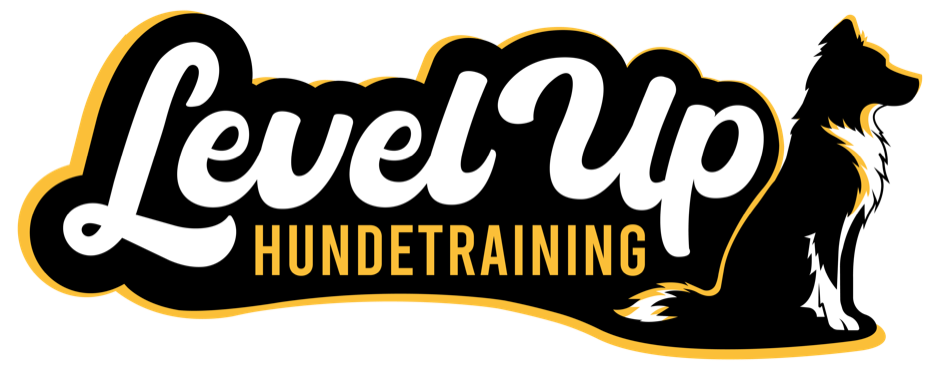 LevelUp Hundetraining